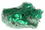 Flowery Polished Malachite Slab - DR Congo #266803-1